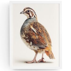 Watercolor Quail Wall Art Print, Unframed - Vibrant Nature-Inspired Home Decor